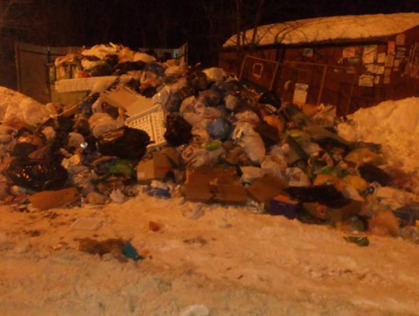 Жителей Воронежа возмутил мусорный «Эверест"