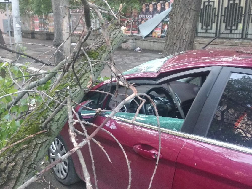 Дерево расплющило иномарку после грозы в центре Воронежа