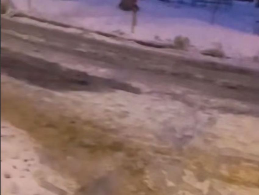 Коммунальная импотенция заставила воронежцев брать все в свои руки 