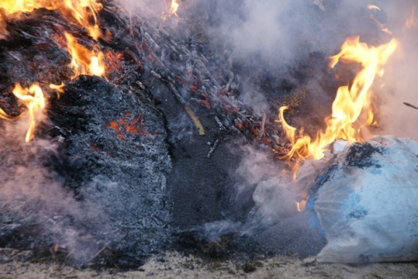 Воронежская наркополиция уничтожила 20 кг наркотиков