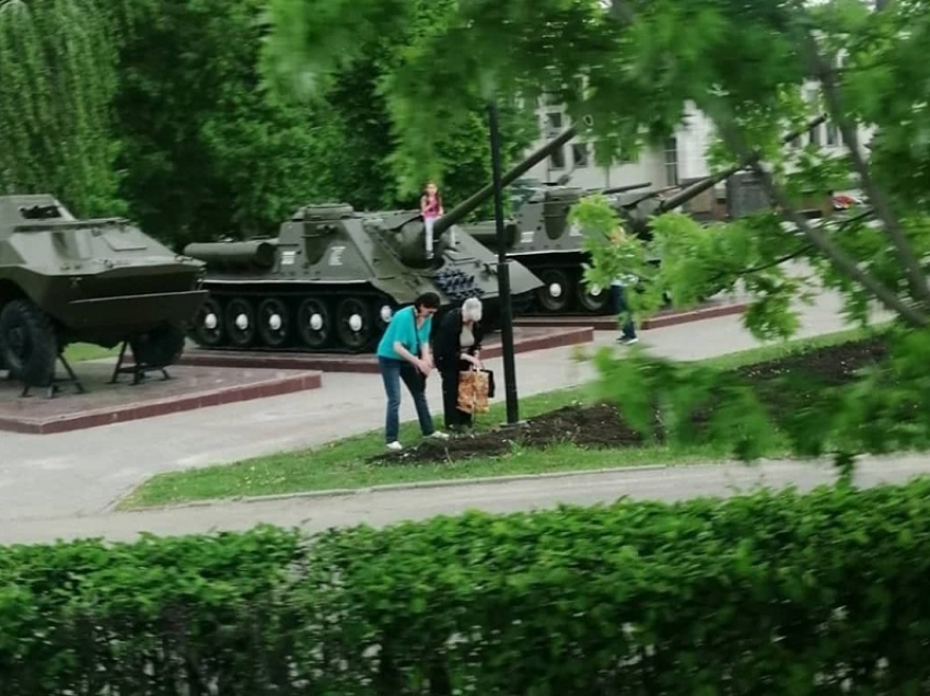 Женщин застали за выкапыванием новых цветов в воронежском парке «Патриотов» 