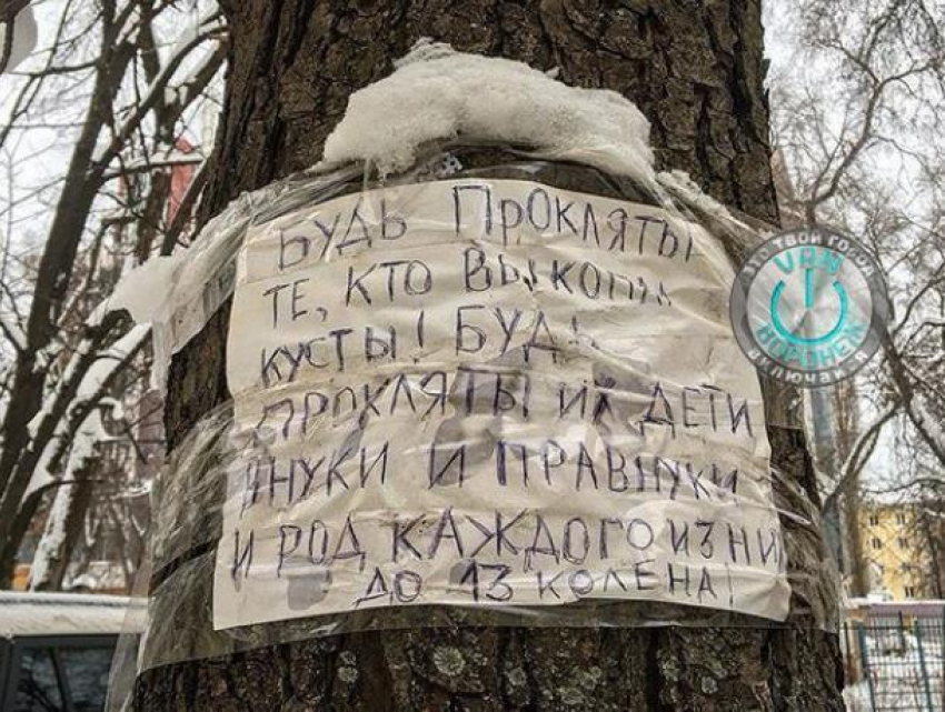 Страшное проклятие до 13 колена нашли на дереве в Воронеже