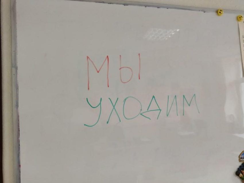 Исследование: в какие профессии уходят уволившиеся воронежские учителя 