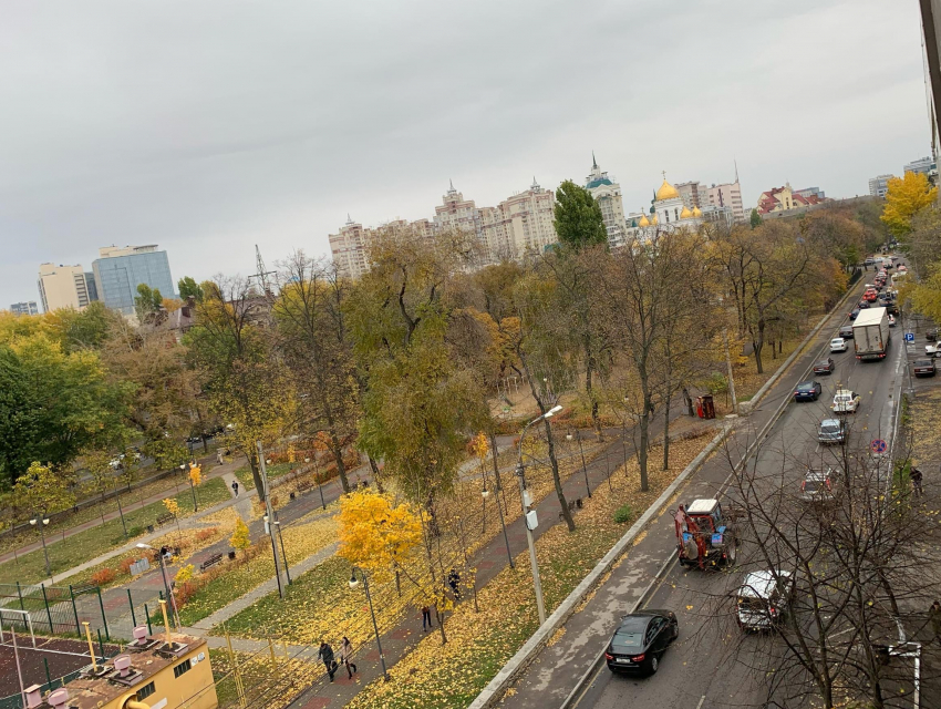 Дистанционное образование победило пробки в Воронеже