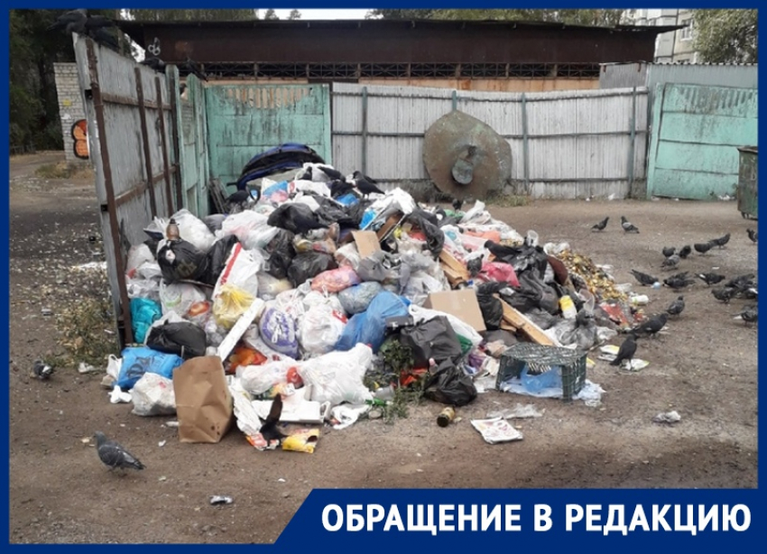 Помойное бедствие захлестнуло жилой двор в Воронеже 