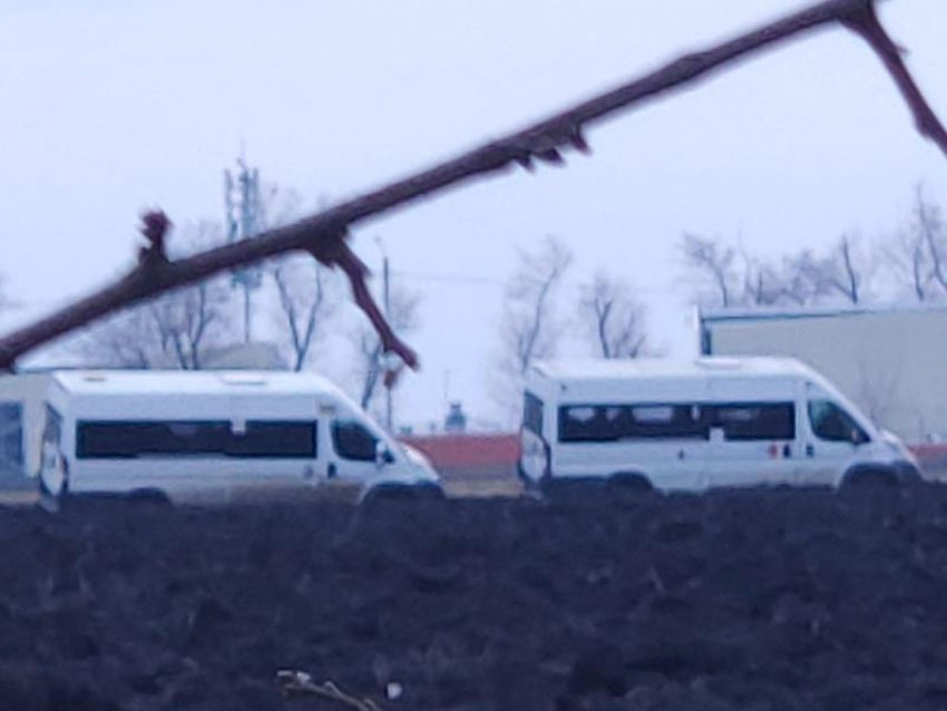 В неожиданном месте застали пару маршрутчиков в Воронеже