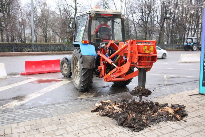 Работу «пенькогрызов» на городских улицах прокомментировали экологи Воронежа