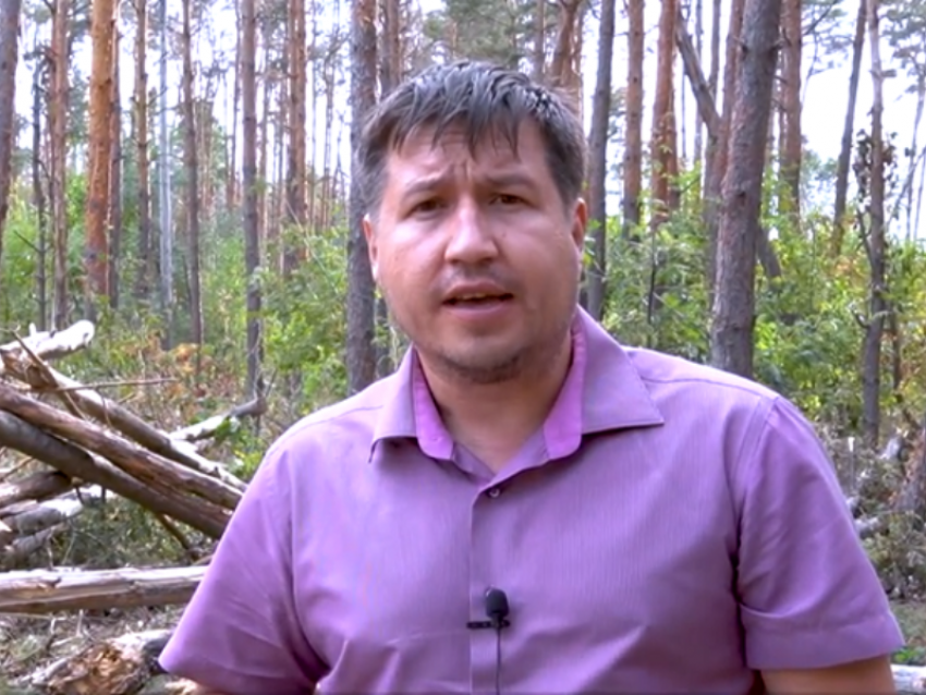 Защитники Северного леса рассказали о давлении на губернатора Гусева