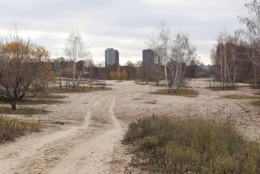 На благоустройство набережной Артамонова в Воронеже будет выделено 25 млн рублей