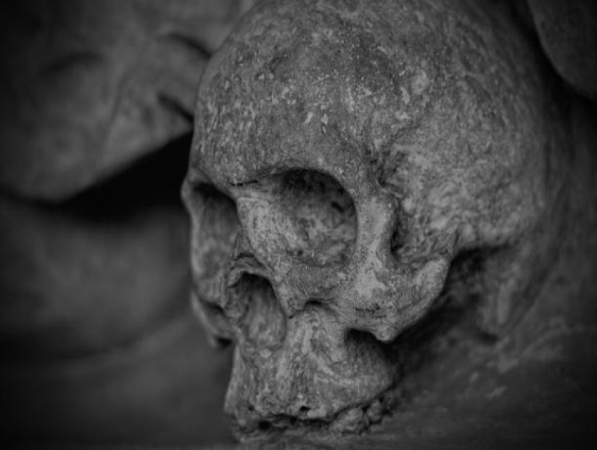 Воронежец нашел человеческие кости в погребе купленного дома