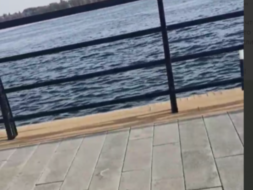 "Где этот иезуит?": о необычной пытке на Петровской набережной рассказали воронежцы