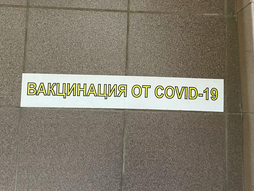 Число вакцинированных в Воронежской области достигнет 600 тыс человек