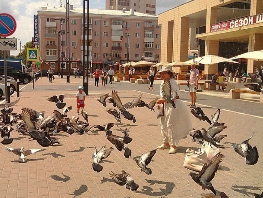 Повелительницу голубей сфотографировали в центре Воронежа