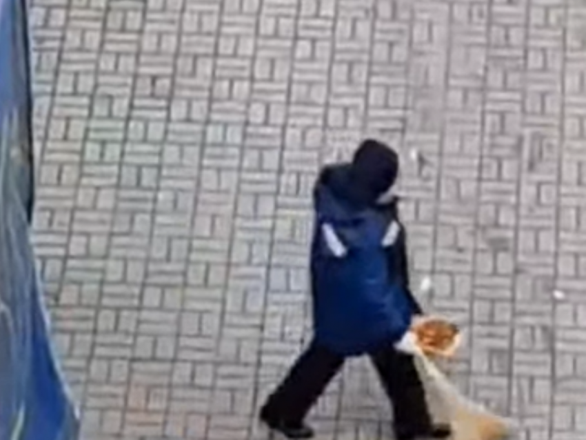 Дворник наоборот: женщина вместо уборки раскидала мусор и попала на видео в Воронеже 