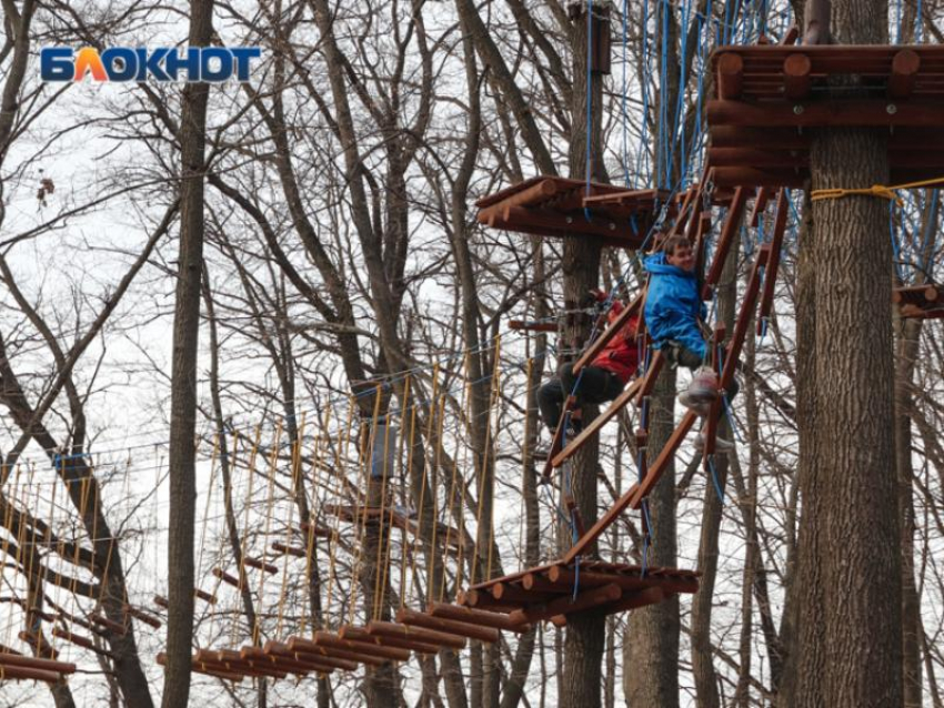 Новые аттракционы появятся в воронежских парках