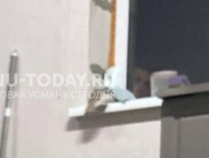 Лицо в окне напугало жительницу микрорайона в Воронежской области