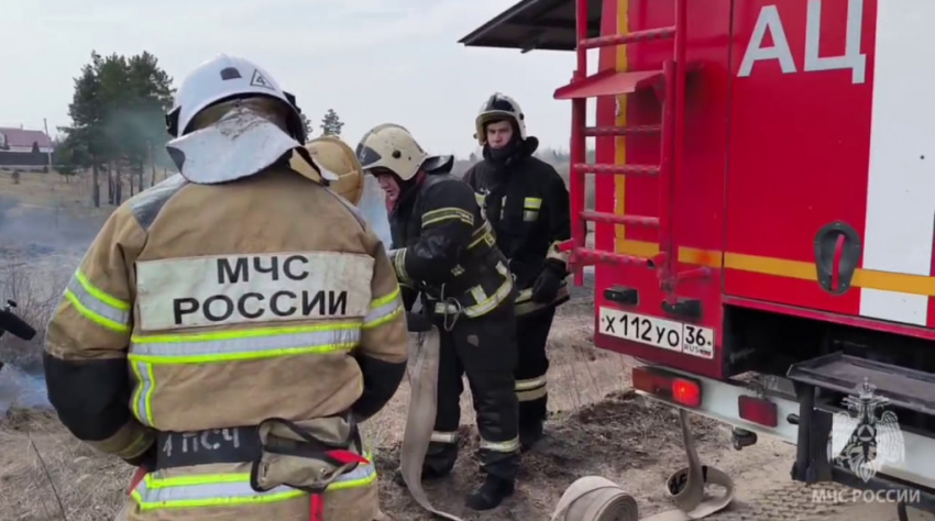 В Воронежской области прошли учения по тушению лесных пожаров