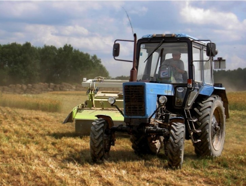 В Воронежской области фермеры не следили за плодородием полей