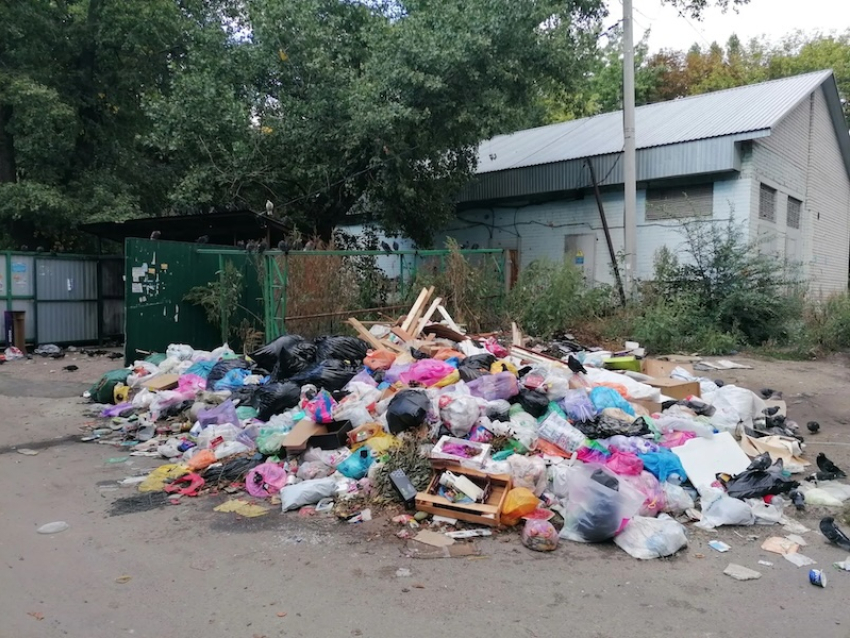 “Были возгорания”: мусорный склад нашли в центре Воронежа