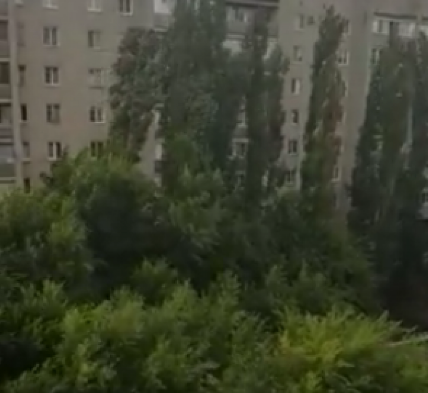 Августовский снег сняли на видео в Воронеже
