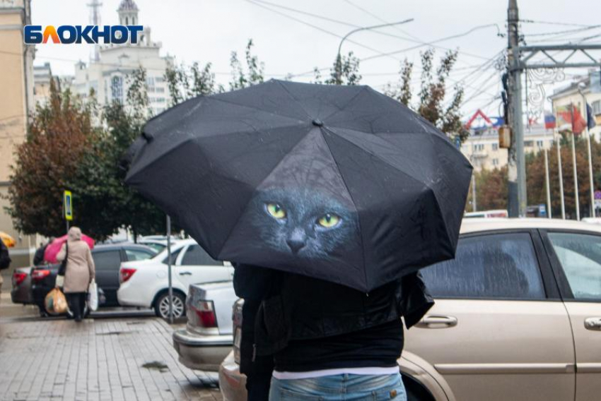 Лето отменяется? Хмурой ожидается погода в Воронеже 