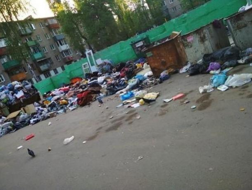 Воронежцам показали, сколько мусора они скопили за майские праздники