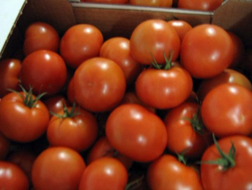 На полигоне под Воронежем раздавили сотни килограмм помидоров 
