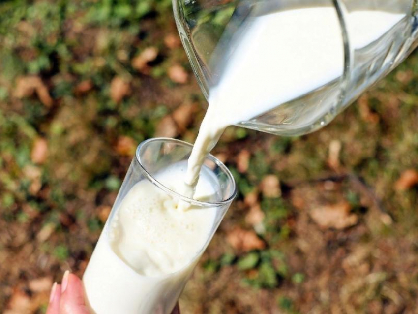 Как молоко поможет в борьбе с коронавирусом, рассказали китайские эксперты