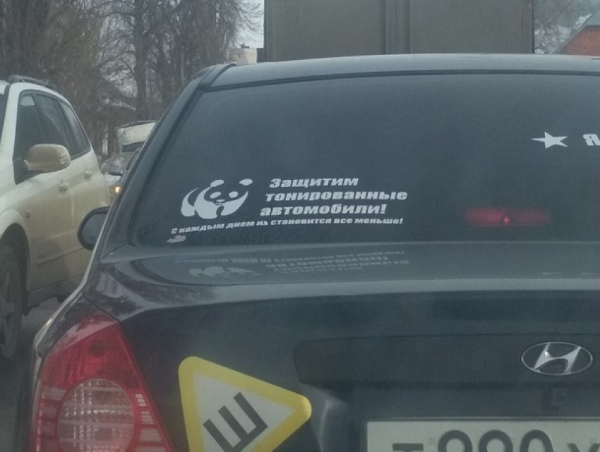 В Воронеже объявился защитник тонированных автомобилей 