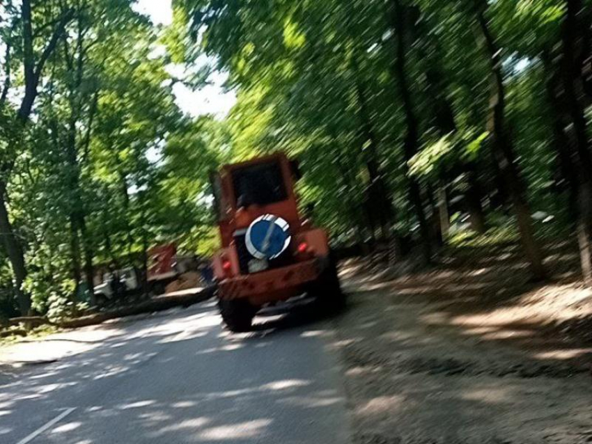 Упавшее дерево спровоцировало огромный затор в Воронеже 