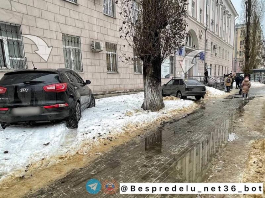 Два автомобилиста попали на деньги у воронежского вуза 