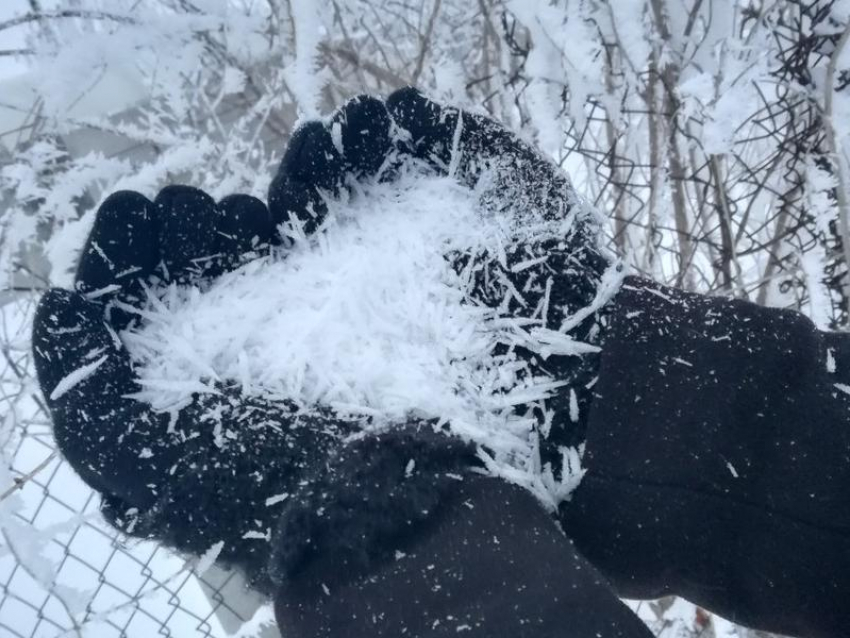 Зимняя «щетина» очаровала воронежцев  