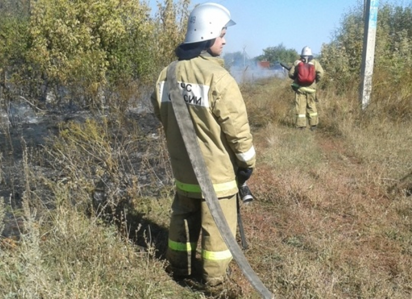 Десятки человек тушат лесной пожар в Воронежской области