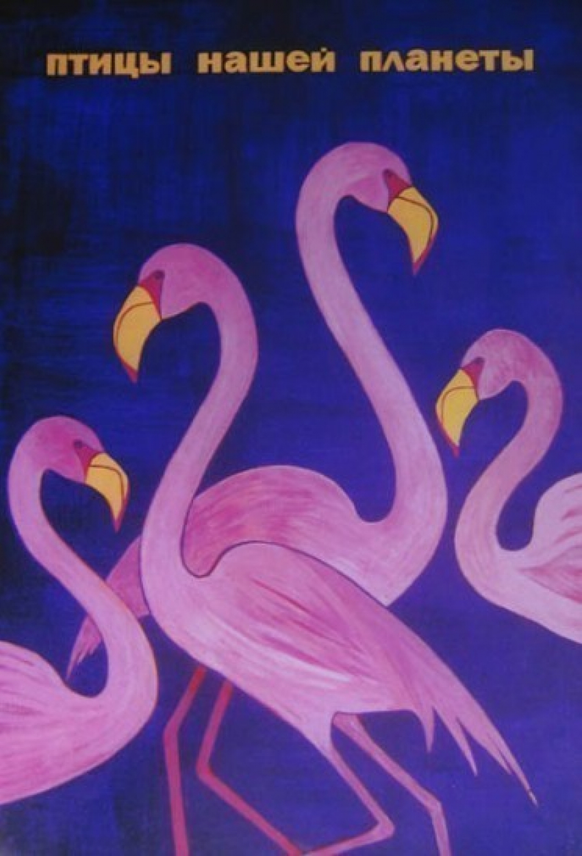 В Воронеж из Москвы привезли плакаты из серии «Птицы мира»