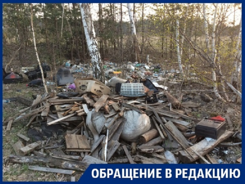 Воронежская элита захламила окраину города зловонным мусором