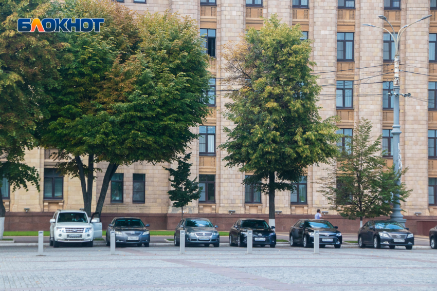 Более 24 млн рублей выделят на закупку ГСМ для автомобилей правительства Воронежской области