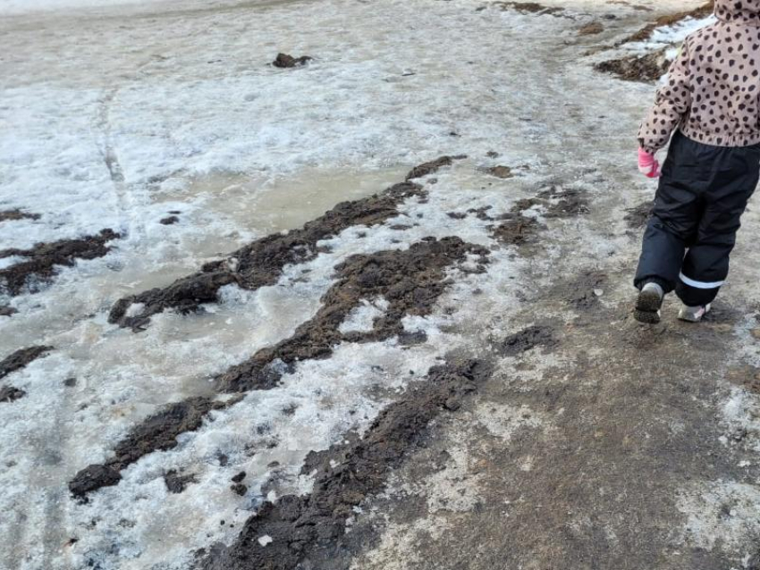 Тротуарный бойкот на Шишкова толкает воронежцев на дорогу 
