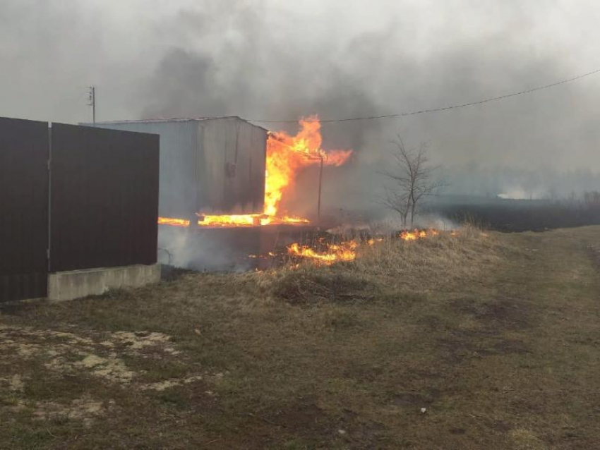 Огонь едва не уничтожил три СНТ под Воронежем 