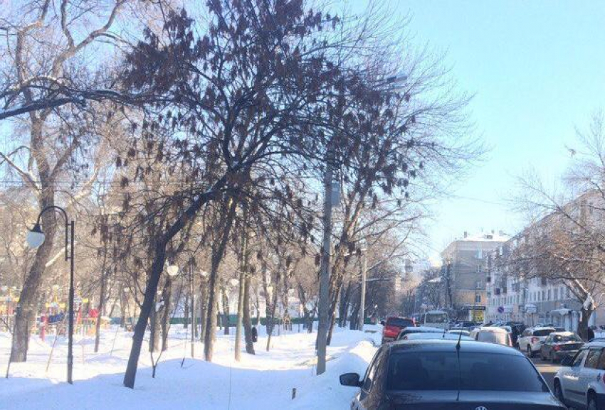 На выходных в Воронеже ожидается потепление