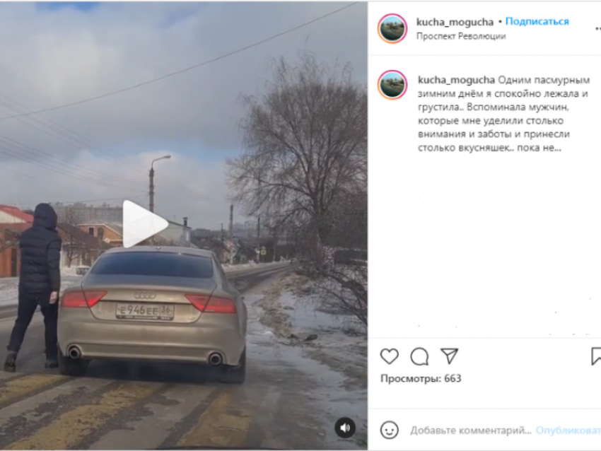 Воронежская «куча-могуча» пожаловалась на рыцаря в Audi A7