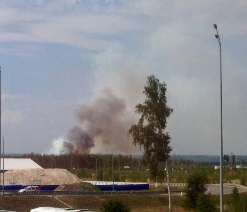 Воронежцы вновь ужаснулись черным клубам дыма в лесу у Отрожки