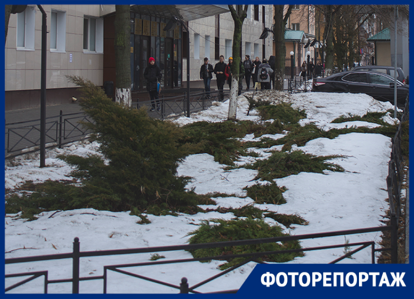 Внезапная зима накрыла Воронеж в начале марта 