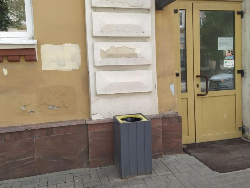 Воронежскую мэрию заподозрили в воровстве мусорки из сквера 