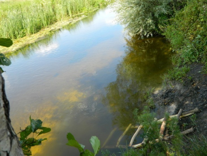 Житель Воронежа утонул в реке в Семилукском районе