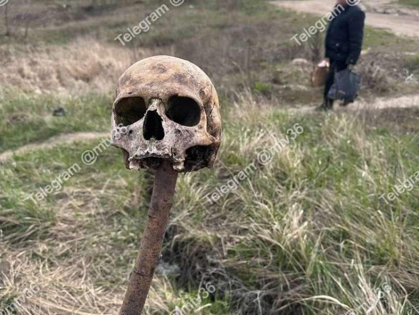 Человеческий череп, «встречающий» на входе в поселок, смутил воронежцев