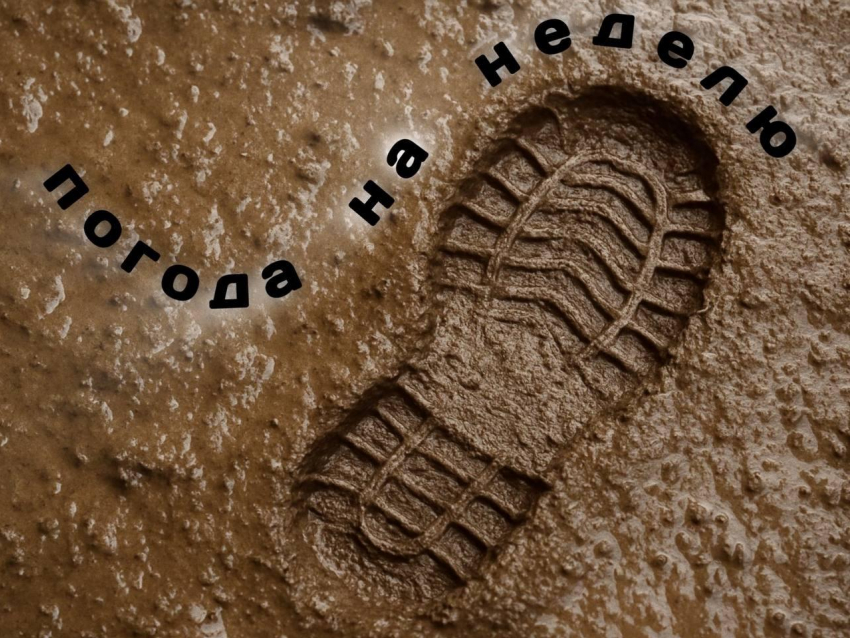 Не выходи из квартиры: прогноз погоды в Воронеже