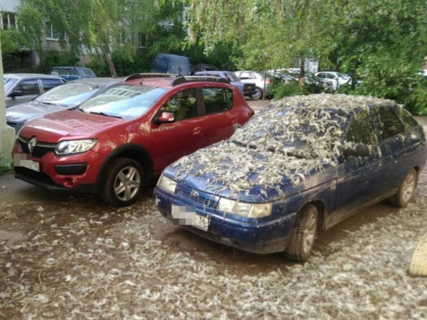 Наказание «Лады» природой показали в Воронеже