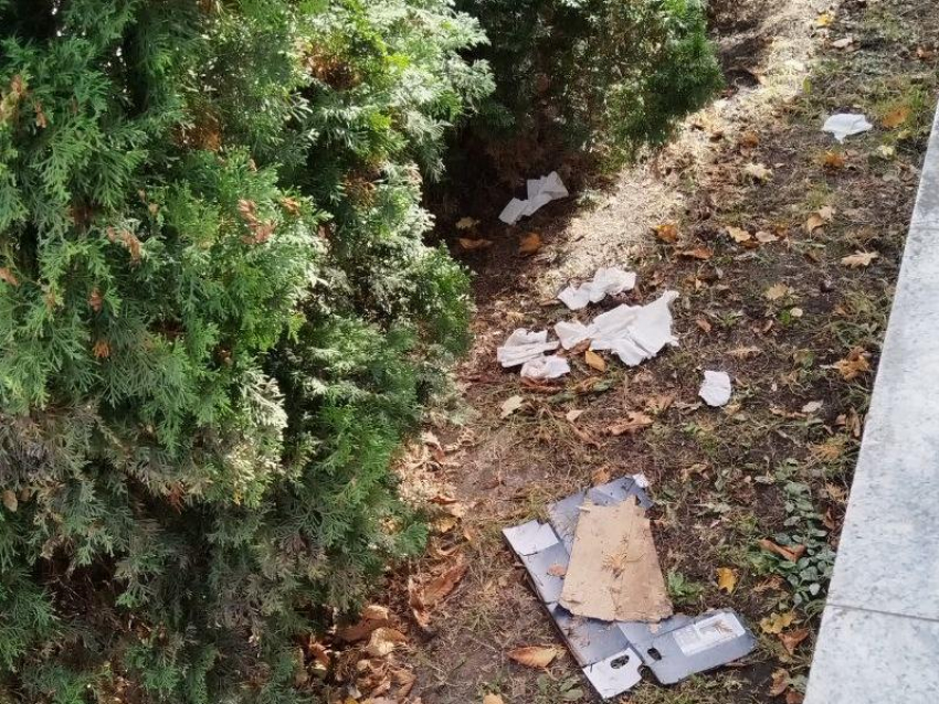 Куча нечистот и бумажки: общественный туалет устроили за Литературным некрополем в Воронеже