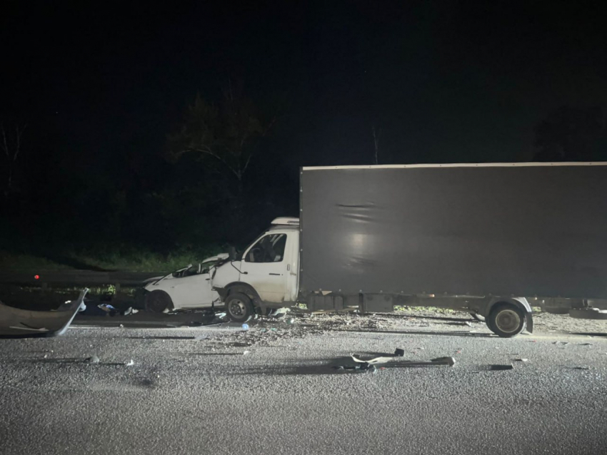 Смертельное ДТП с разлетевшейся от удара легковушкой случилось в Воронежской области