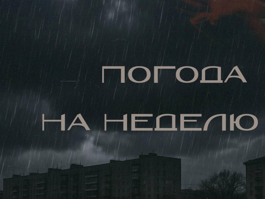 Неделя мокрых трусов: когда закончится дождь в Воронеже?
